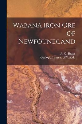 Wabana Iron Ore of Newfoundland [microform] - 