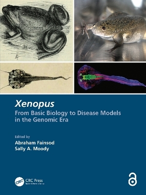 Xenopus - 