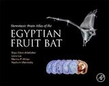 Stereotaxic Brain Atlas of the Egyptian Fruit Bat - Eilam-Altstadter, Raya; Las, Liora; Witter, Menno; Ulanovsky, Nachum