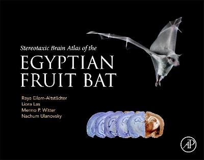 Stereotaxic Brain Atlas of the Egyptian Fruit Bat - Raya Eilam-Altstadter, Liora Las, Menno Witter, Nachum Ulanovsky