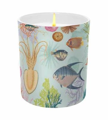 Art of Nature: Under the Sea Scented Glass Candle -  Insight Editions