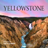 Yellowstone -  Tracy C. Read