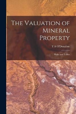 The Valuation of Mineral Property - 