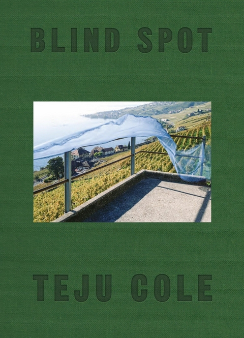 Blind Spot -  Teju Cole