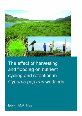 The effect of harvesting and flooding on nutrient cycling and retention in Cyperus papyrus wetlands - Edwin M.A. Hes