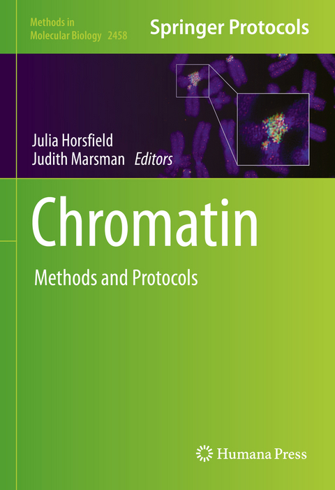 Chromatin - 