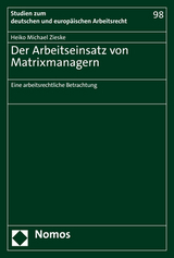 Der Arbeitseinsatz von Matrixmanagern - Heiko Michael Zieske