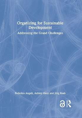 Organizing for Sustainable Development - Federica Angeli, Ashley Metz, Jörg Raab