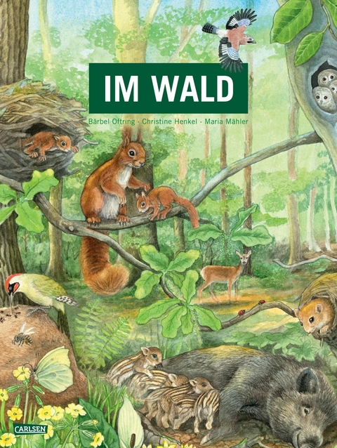 Im Wald - Bärbel Oftring