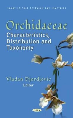 Orchidaceae - 