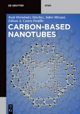 Carbon-Based Nanotubes - Raúl Hernández Sánchez, Saber Mirzaei, Edison Arley Castro Portillo