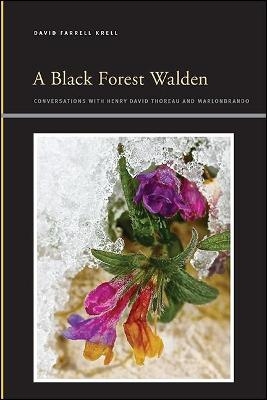 A Black Forest Walden - David Farrell Krell