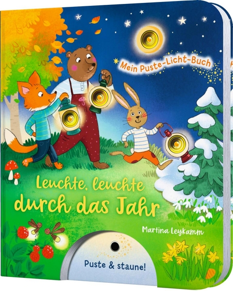 Mein Puste-Licht-Buch: Leuchte, leuchte durch das Jahr - Sylvia Tress