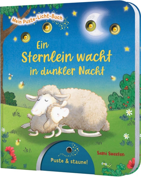 Mein Puste-Licht-Buch: Ein Sternlein wacht in dunkler Nacht - Sylvia Tress