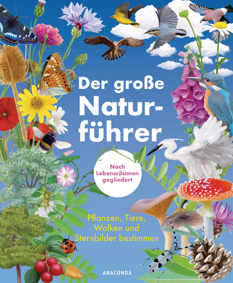 Der große Naturführer. Pflanzen, Tiere, Wolken und Sternbilder bestimmen. Nach Lebensräumen gegliedert - Morgane Peyrot, Blandine Pluchet, Xavier Nitsch