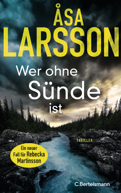 Wer ohne Sünde ist - Åsa Larsson