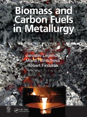 Biomass and Carbon Fuels in Metallurgy - Jaroslav Legemza, Mária Fröhlichová, Róbert Findorák