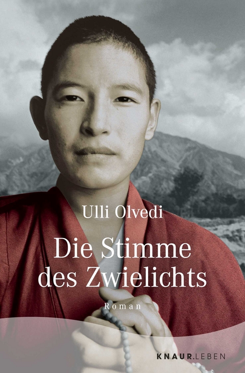 Die Stimme des Zwielichts - Ulli Olvedi