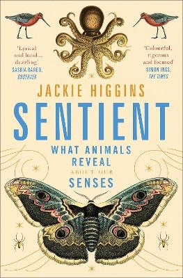 Sentient - Jackie Higgins