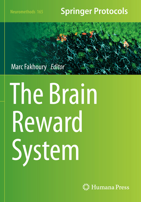 The Brain Reward System - 