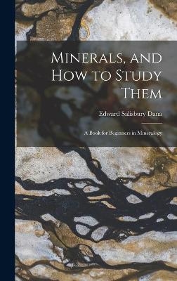 Minerals, and How to Study Them - Edward Salisbury 1849-1935 Dana