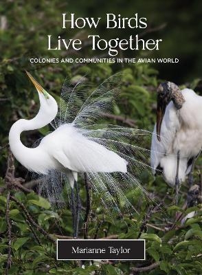 How Birds Live Together - Marianne Taylor