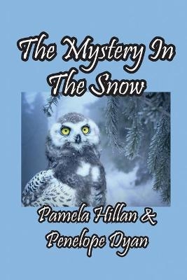 The Mystery In The Snow - Pamela Hillan,  Dyan