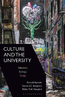 Culture and the University - Professor Ronald Barnett, Søren S.E. Bengtsen, Rikke Toft Nørgård