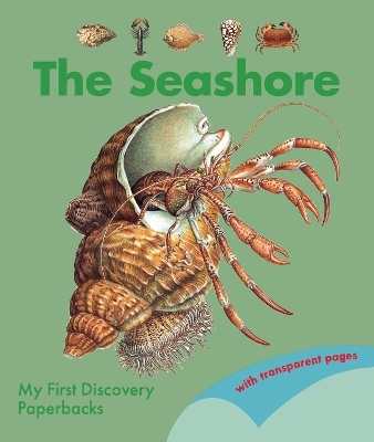 The Seashore - 