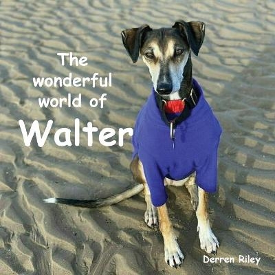 The wonderful world of Walter - Derren Riley