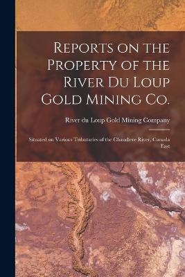 Reports on the Property of the River Du Loup Gold Mining Co. [microform] - 