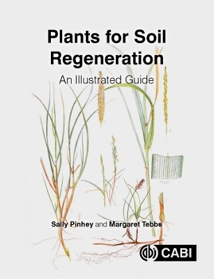 Plants for Soil Regeneration - Sally Pinhey, Margaret Tebbs