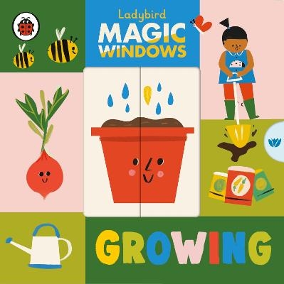 Magic Windows: Growing -  Ladybird