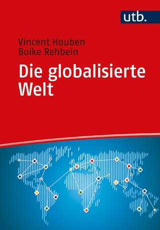 Die globalisierte Welt - Vincent Houben; Boike Rehbein