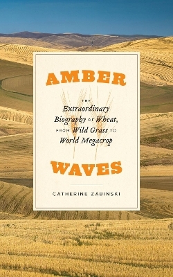 Amber Waves - Catherine Zabinski