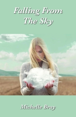 Falling From The Sky - Michelle Bray