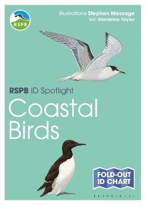 RSPB ID Spotlight - Coastal Birds - Marianne Taylor