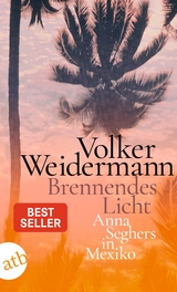 Brennendes Licht - Volker Weidermann