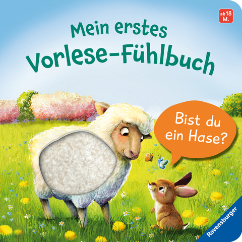 Mein erstes Vorlese-Fühlbuch: Bist du ein Hase? - Kathrin Lena Orso