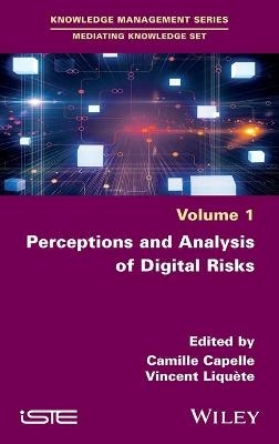 Perceptions and Analysis of Digital Risks - 