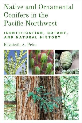 Native and Ornamental Conifers of the Pacific Northwest - Elizabeth A. Price