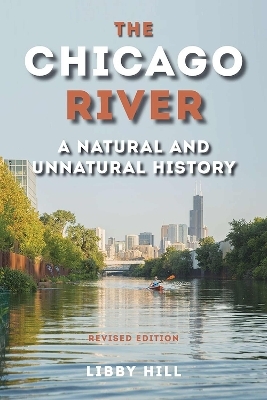 The Chicago River - Libby Hill