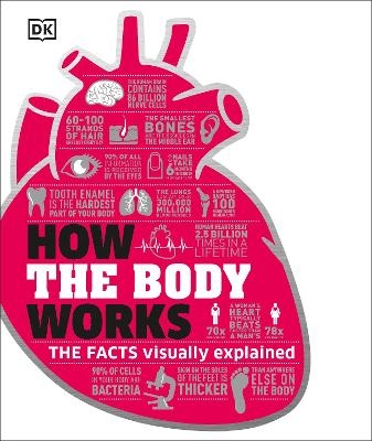 How the Body Works -  Dk