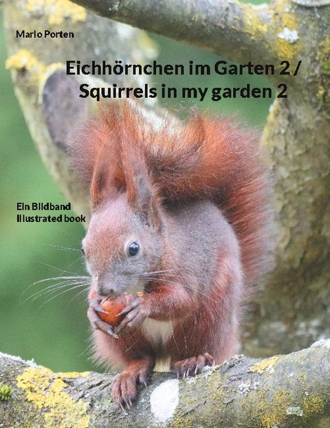 Eichhörnchen im Garten 2 / Squirrels in my garden 2 - Mario Porten