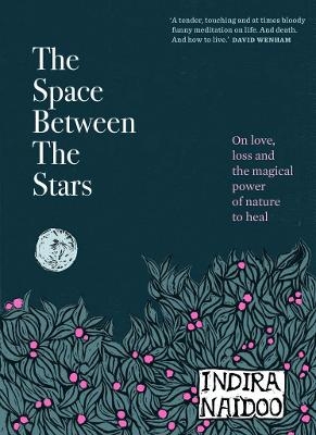 The Space Between the Stars - Indira Naidoo