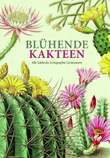 Blühende Kakteen - 