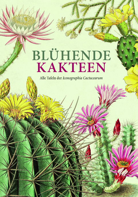 Blühende Kakteen - 