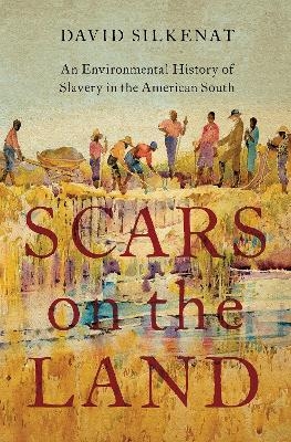 Scars on the Land - David Silkenat