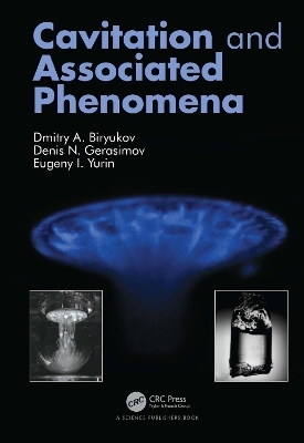 Cavitation and Associated Phenomena - Dmitry Biryukov, Denis Gerasimov, Eugeny Yurin