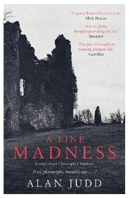 A Fine Madness - Alan Judd